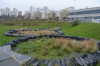 Jardins de pluie