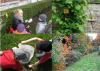 Jardin de biodiversité dans les crèches