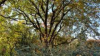 Participez au concours photo "Parcs et jardins publics en gestion écologique"