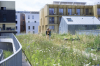 Toitures végétalisées et biodiversité - GROOVE