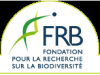 FRB 10 ans