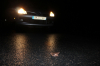 Traversée de grenouille agile