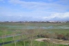 MARAIS DU TRANSBORDEUR
