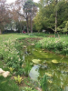 RÉOUVERTURE DE LA SOURCE DE LA PETITE SAUSSAIE ET RENATURATION DU BASSIN DANS LE PARC FRÉDÉRIC JOLIOT-CURIE