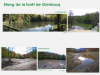 D'UN PAYSAGE DE PARC URBAIN À UNE ZONE HUMIDE EN COEUR DE MASSIF FORESTIER