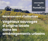 questionnaire végétal local