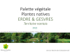 Palette végétale pour ripisylve en territoire nantais 